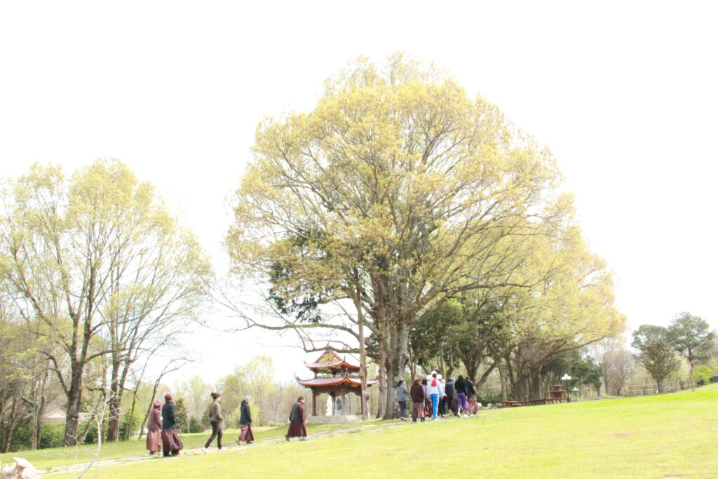 Sangha walking