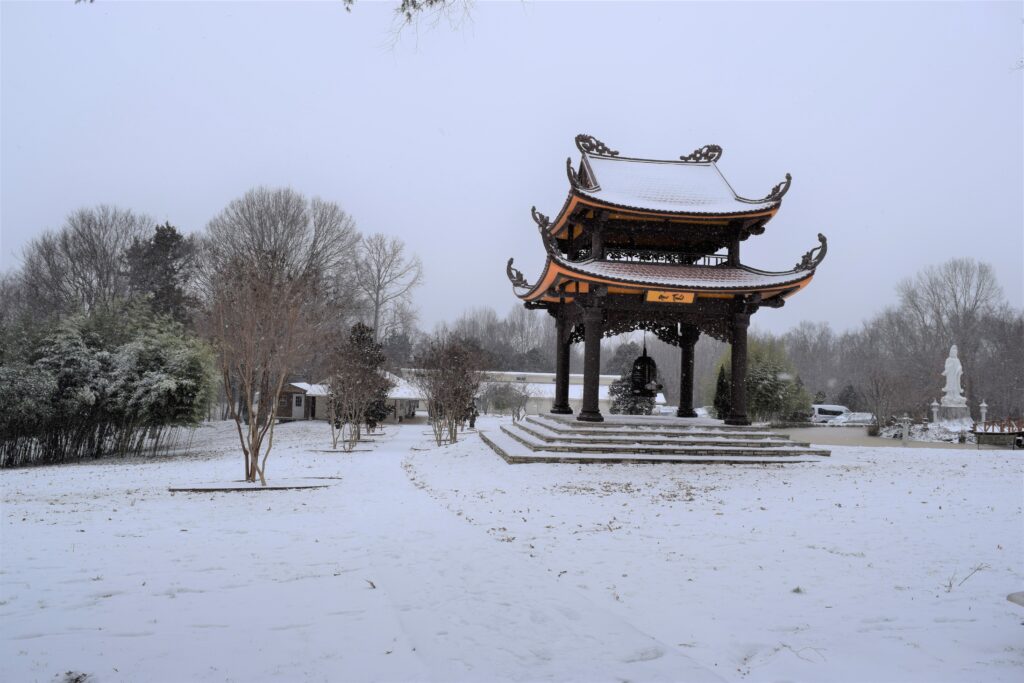 Snow Day @ Magnolia Grove