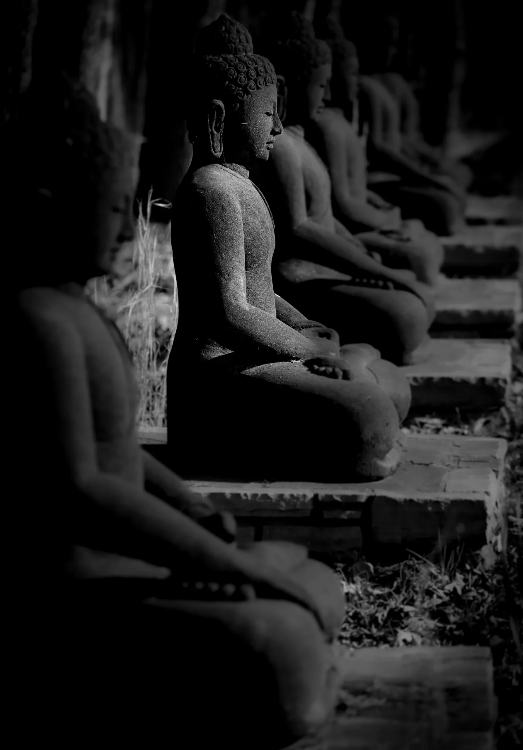 PERMENANT BUDDHAS