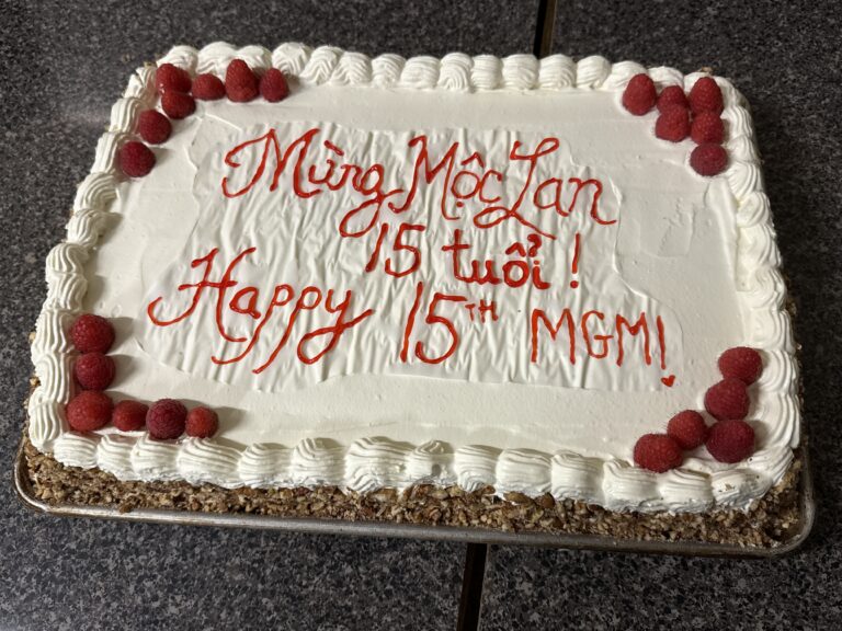 MGM 15 year cake